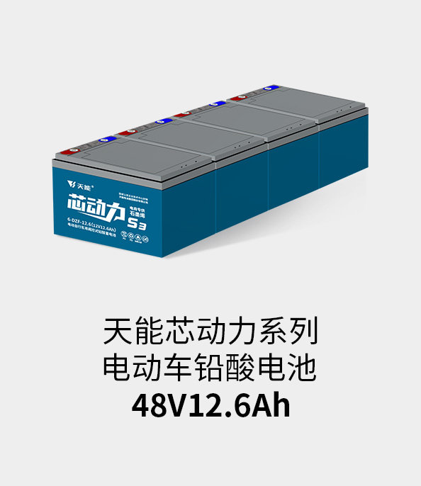 南宫NG28电池48v12ah