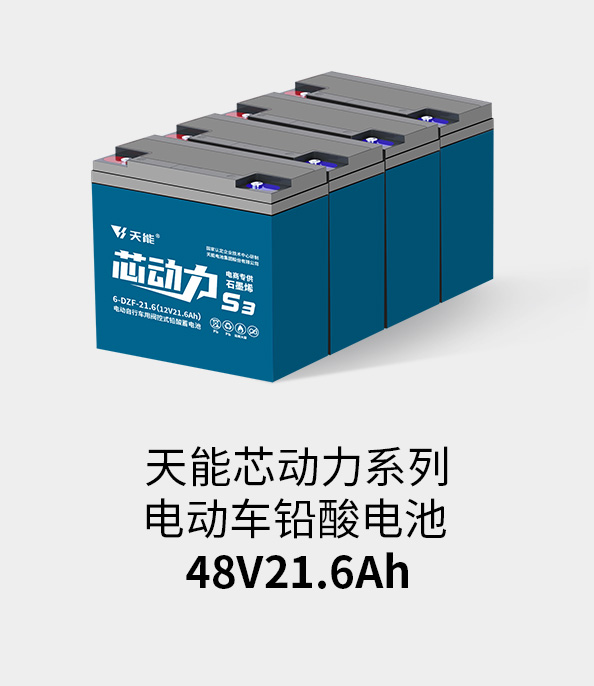 南宫NG28电池48v20ah