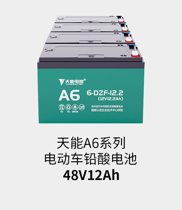 南宫NG28电池48v12ah