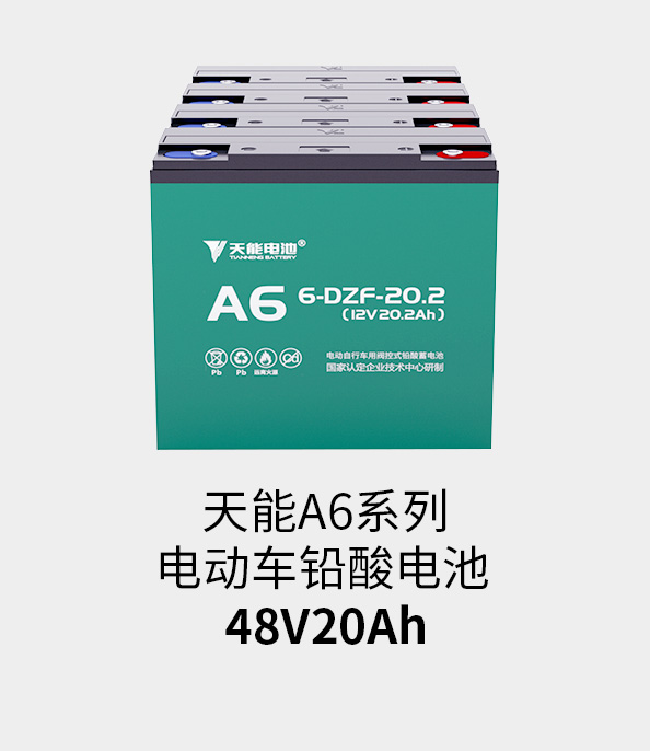 南宫NG28电池48v20ah