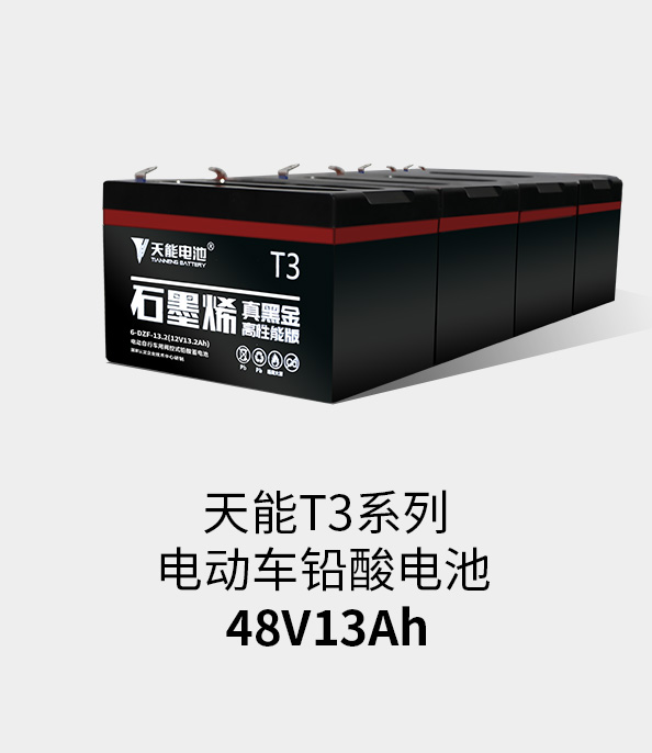南宫NG28T3系列48v13ah