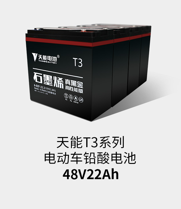南宫NG28T3系列48v22ah